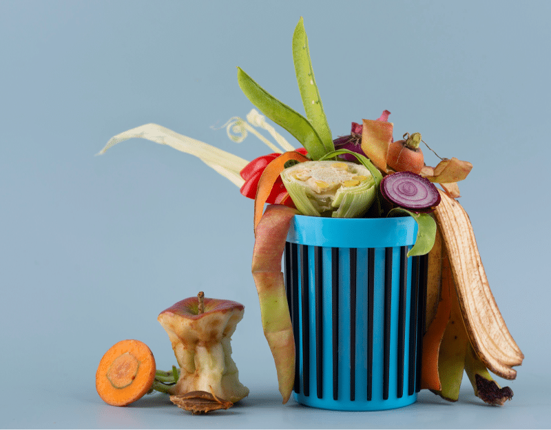 organic waste compost bin